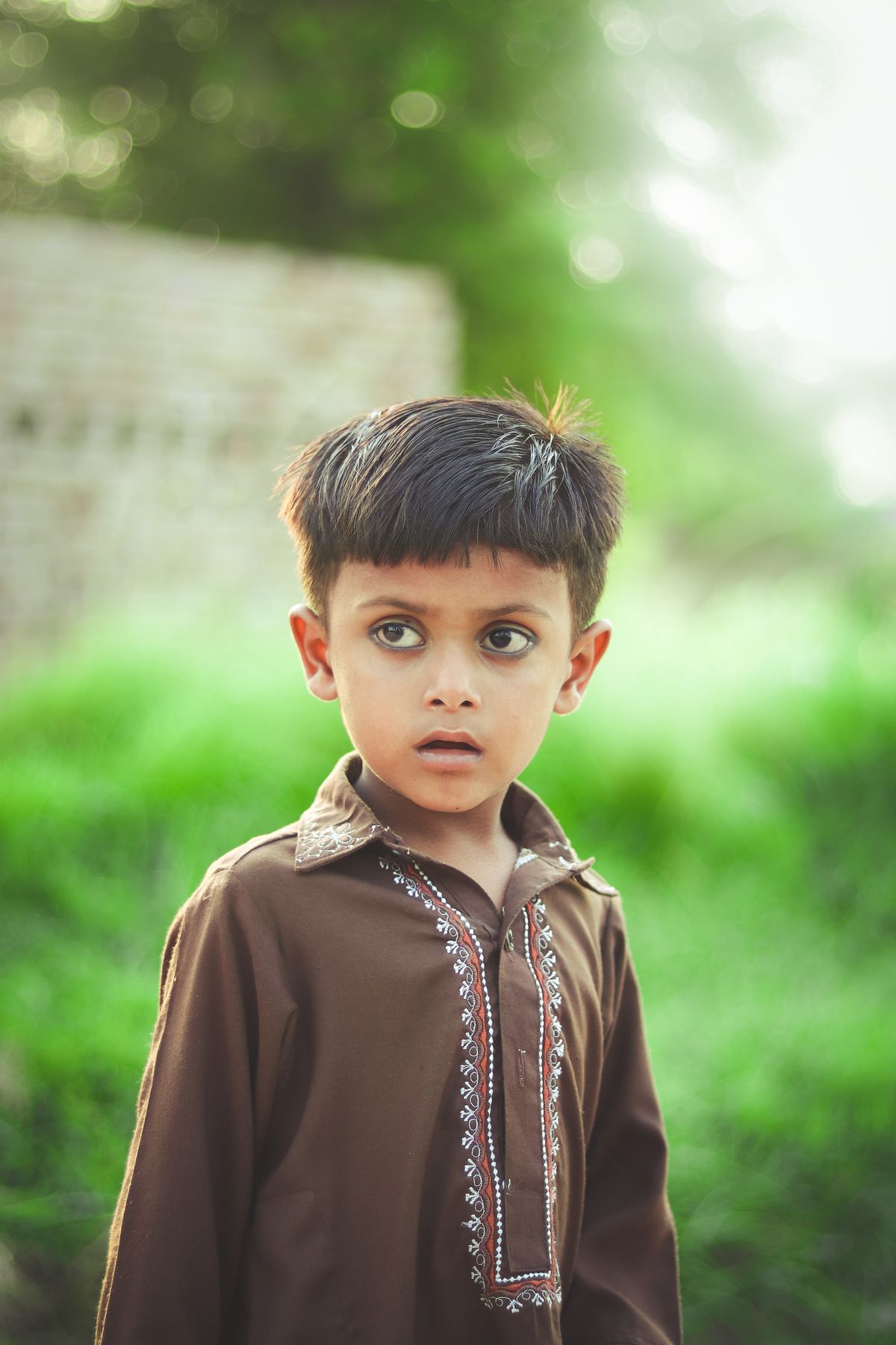 Shehzada Brown Embroidered Boys' Kurta