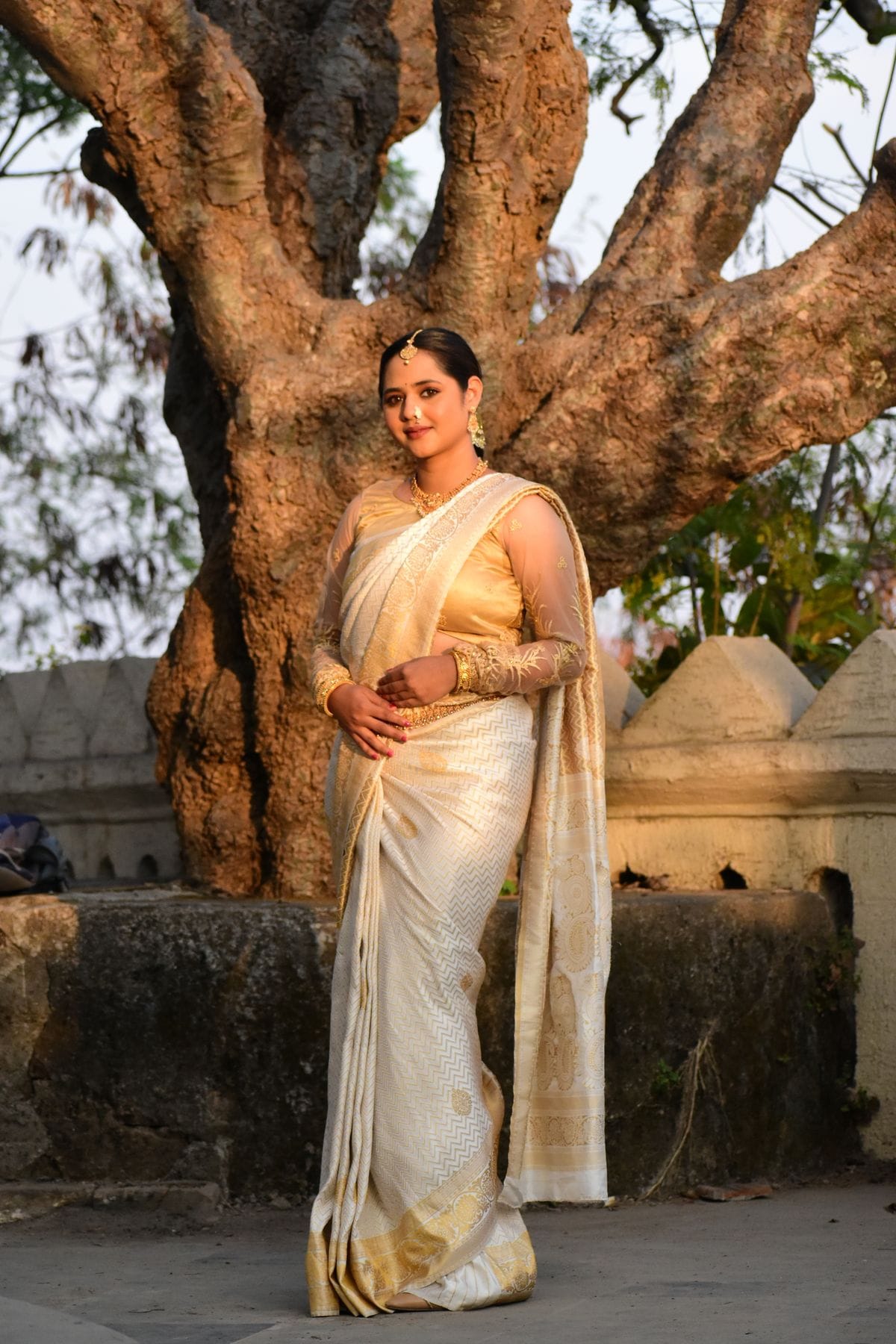 Zeb-un-Nisa Banarsi Saree